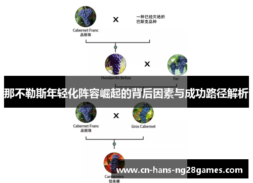 那不勒斯年轻化阵容崛起的背后因素与成功路径解析 那不勒斯年轻化阵容崛起的背后因素与成功路径解析