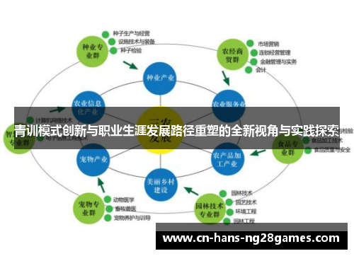 青训模式创新与职业生涯发展路径重塑的全新视角与实践探索