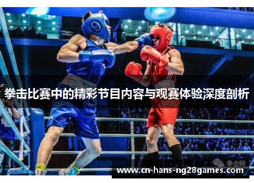 拳击比赛中的精彩节目内容与观赛体验深度剖析