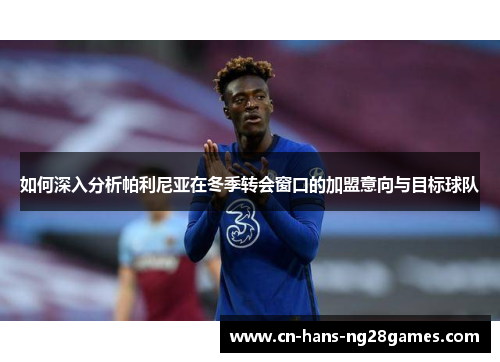 如何深入分析帕利尼亚在冬季转会窗口的加盟意向与目标球队 如何深入分析帕利尼亚在冬季转会窗口的加盟意向与目标球队