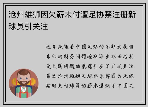 沧州雄狮因欠薪未付遭足协禁注册新球员引关注